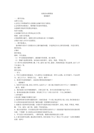 实践活动课教案