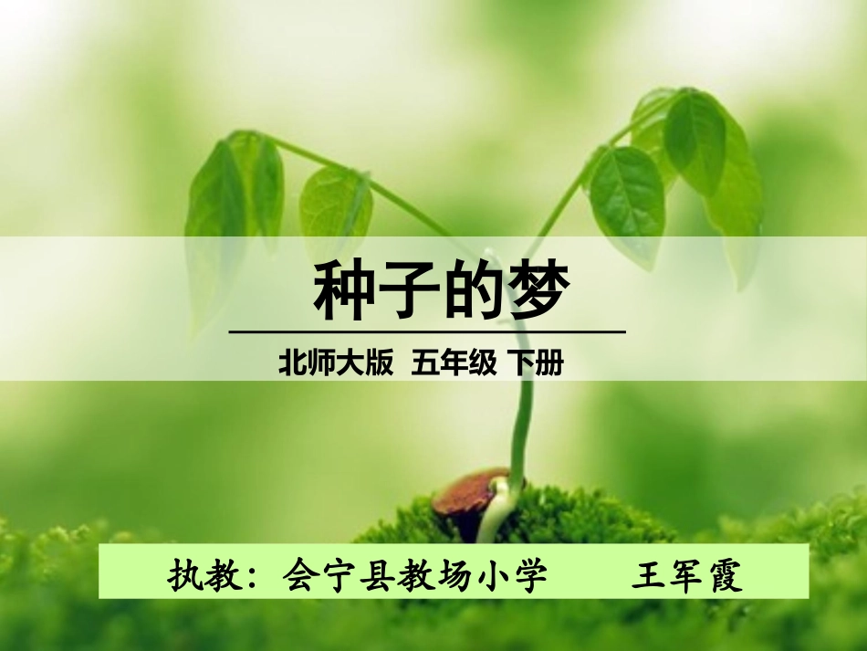 种子的梦-(3)_第2页