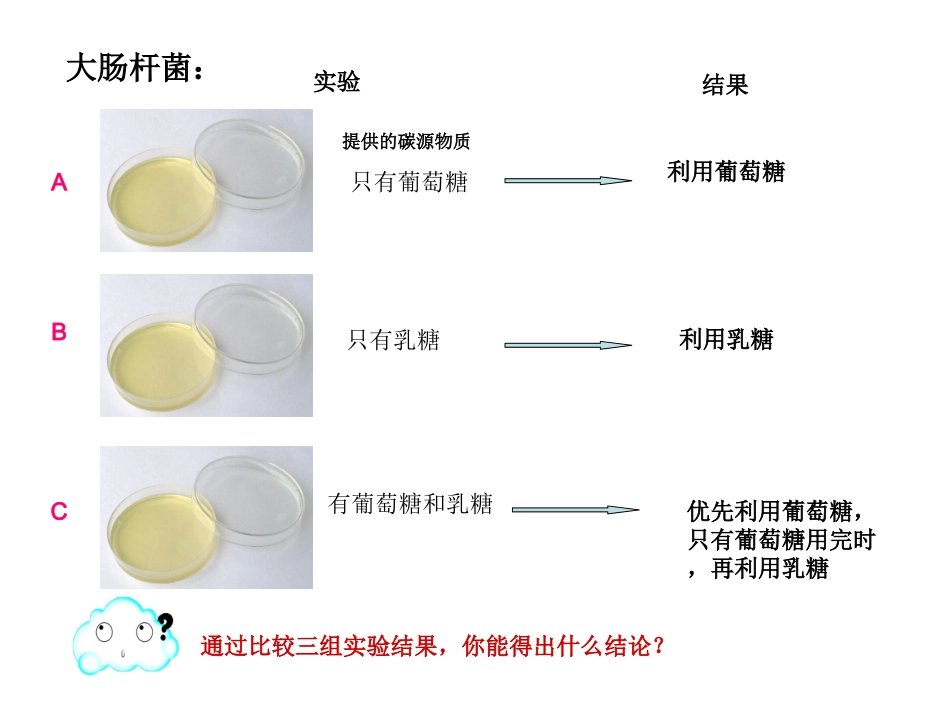 二基因表达的调控_第3页