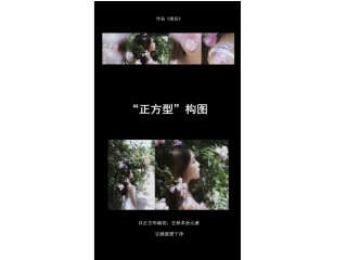 第五课如何创造动人的画面--构图的窍门