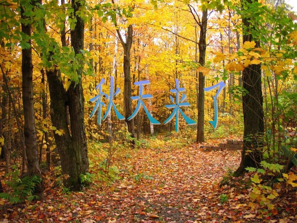 (长春版)三年级语文上册课件秋天来了1_第1页