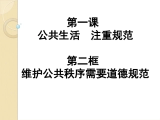 维护公共秩序需要道德规范