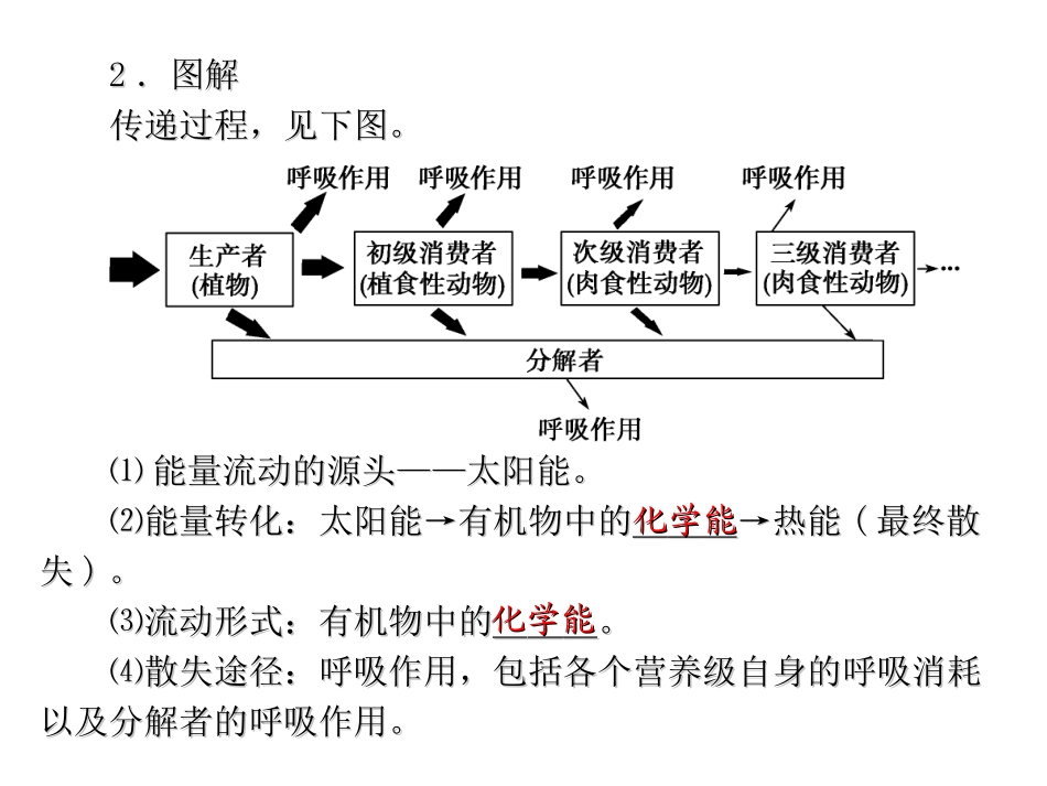 生物与环境生态系统的能量流动和物质循环_第3页