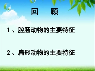第三节线形动物和环节动物