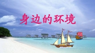 6.我做环保宣传员