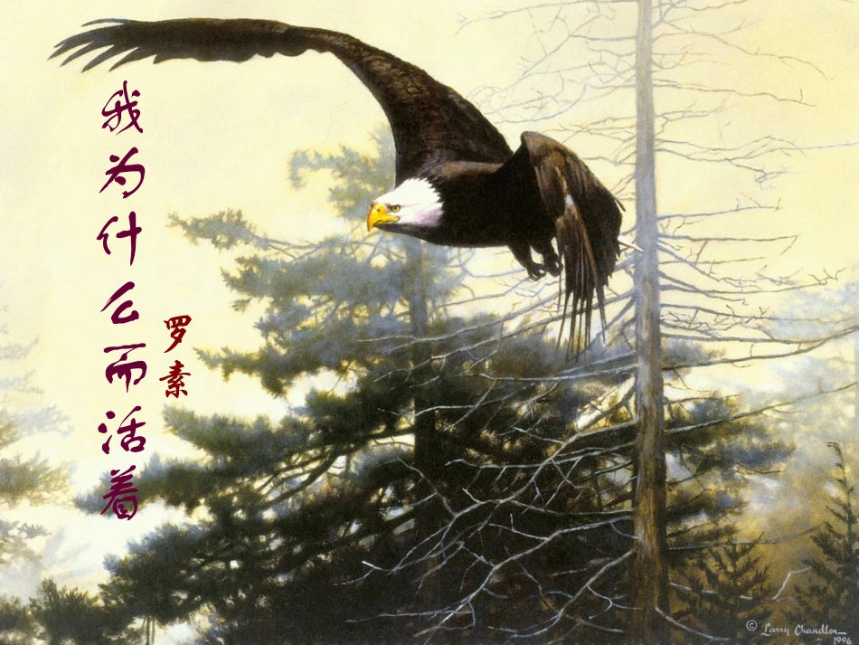 我为什么而活着(2)_第2页