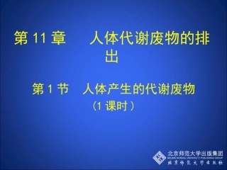 第1节人体产生的代谢废物1课时