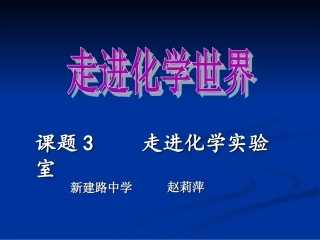 洗涤玻璃仪器-(3)