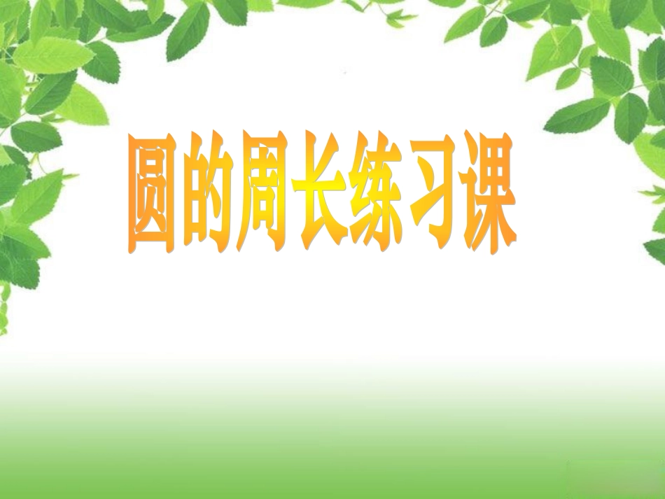 圆的周长练习课_第1页