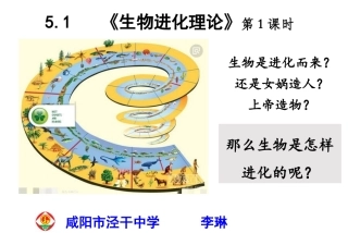 现代达尔文主义