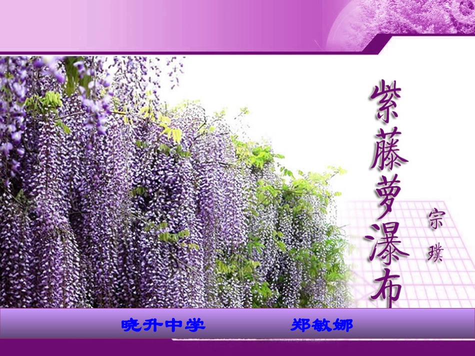 (部编)初中语文人教2011课标版七年级下册紫藤萝瀑布课件-(21)_第3页