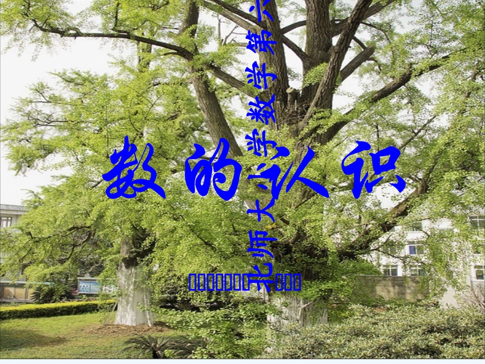 小学数学北师大2011课标版四年级数与计算-(2)_第1页
