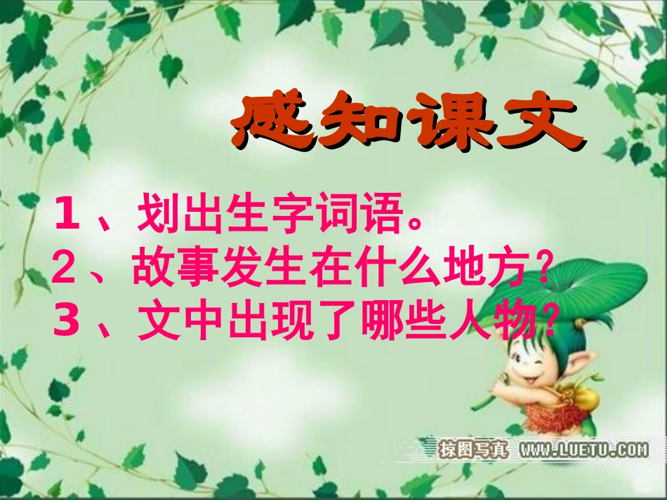 最后一片叶子课件_第3页