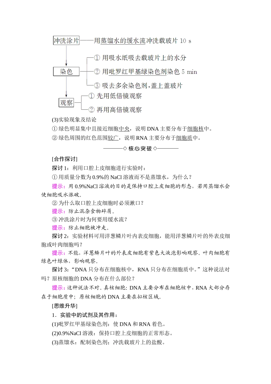 核酸的结构和功能_第2页