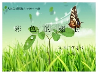 彩色的翅膀课件