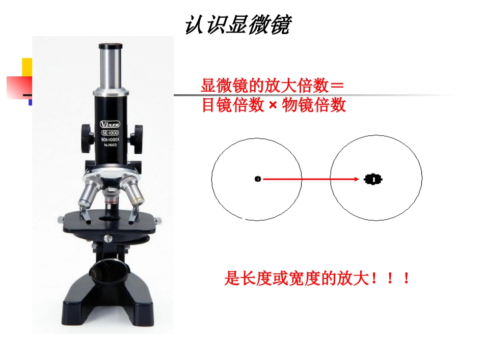 1走进细胞y_第3页