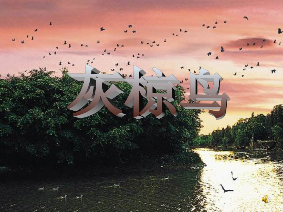 灰椋鸟(第一课时)_第1页