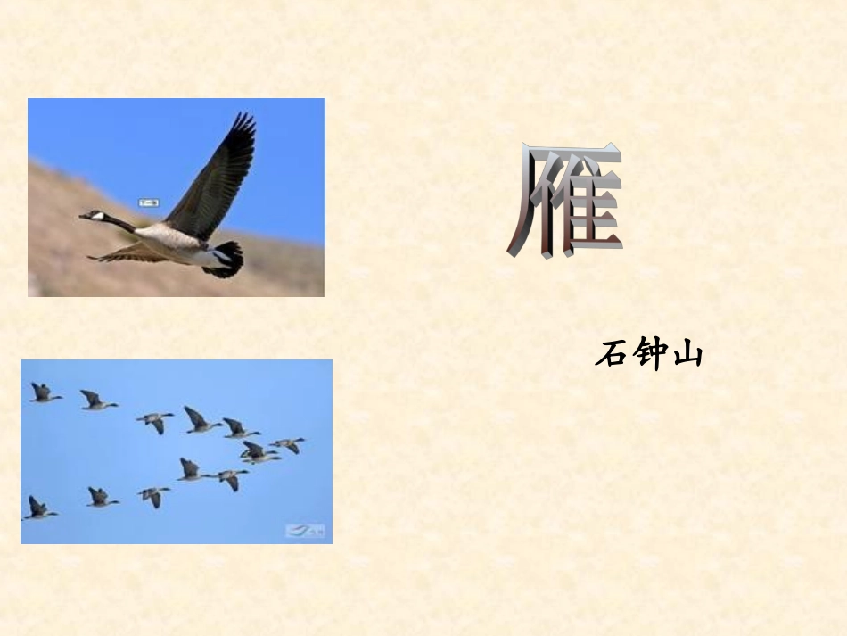 二四雁-(2)_第3页