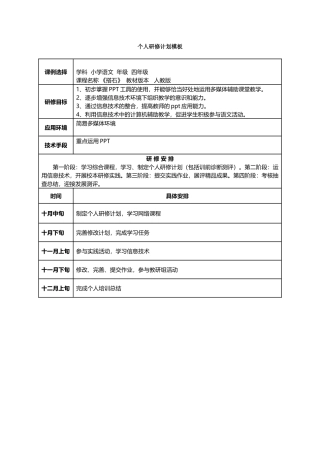 林思思个人研修计划