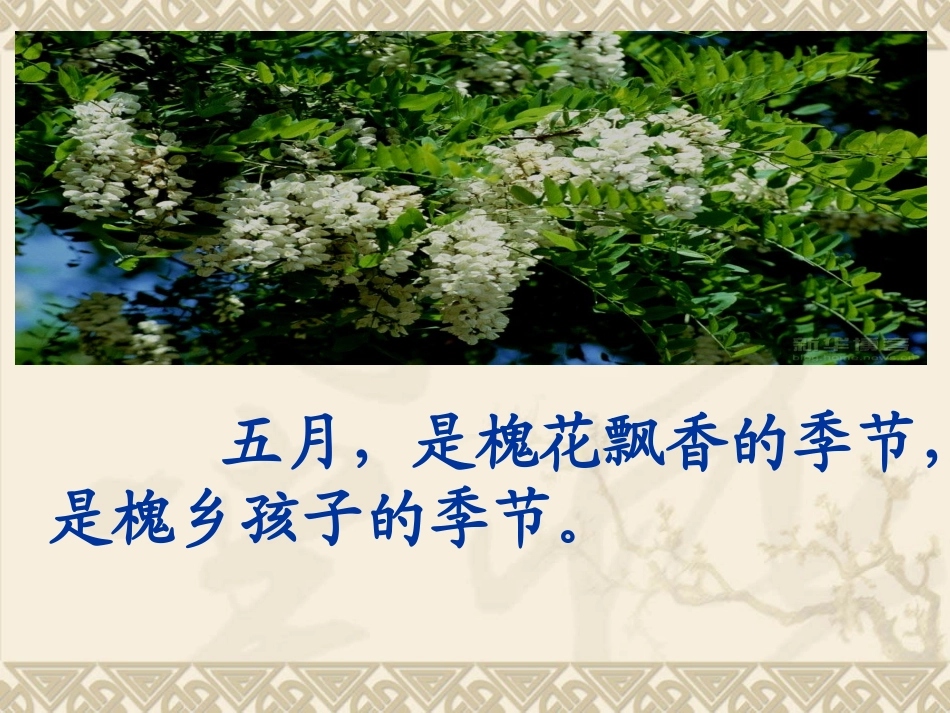 槐乡五月课件1_第3页