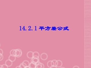 14.2.1平方差公式-(2)