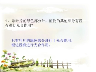 常春藤实验结论