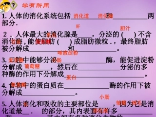 第三节膳食指南与食品安全