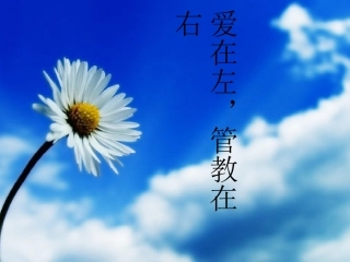 爱在左-管教在右