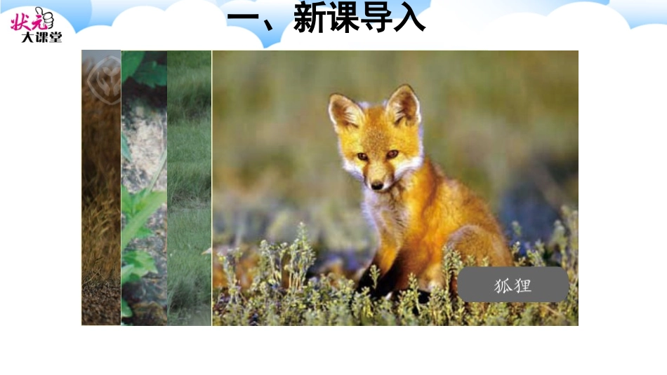 第1课时-三位数加两、三位数_第3页