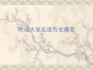 欢迎大家走进历史2-副本