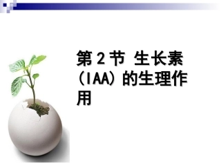 生长素的生理作用