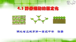 边做边学酵母菌细胞的固定化技术