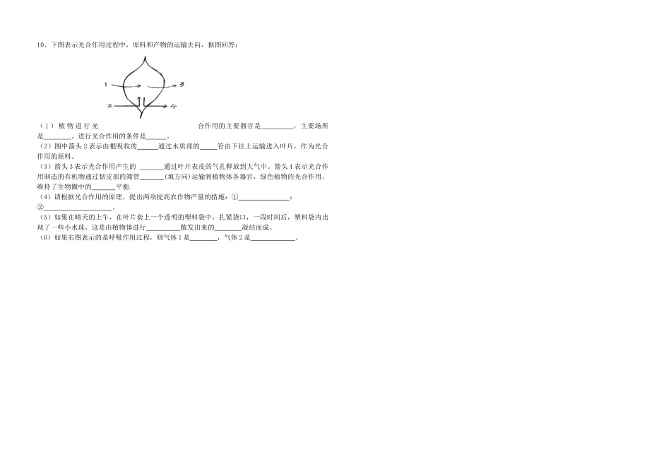 第五章-绿色植物与生物圈中的碳—氧平衡_第2页