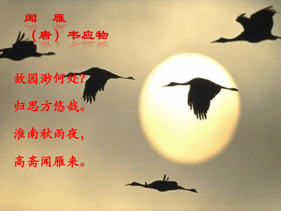 学生展示课件---鸟与诗_第3页