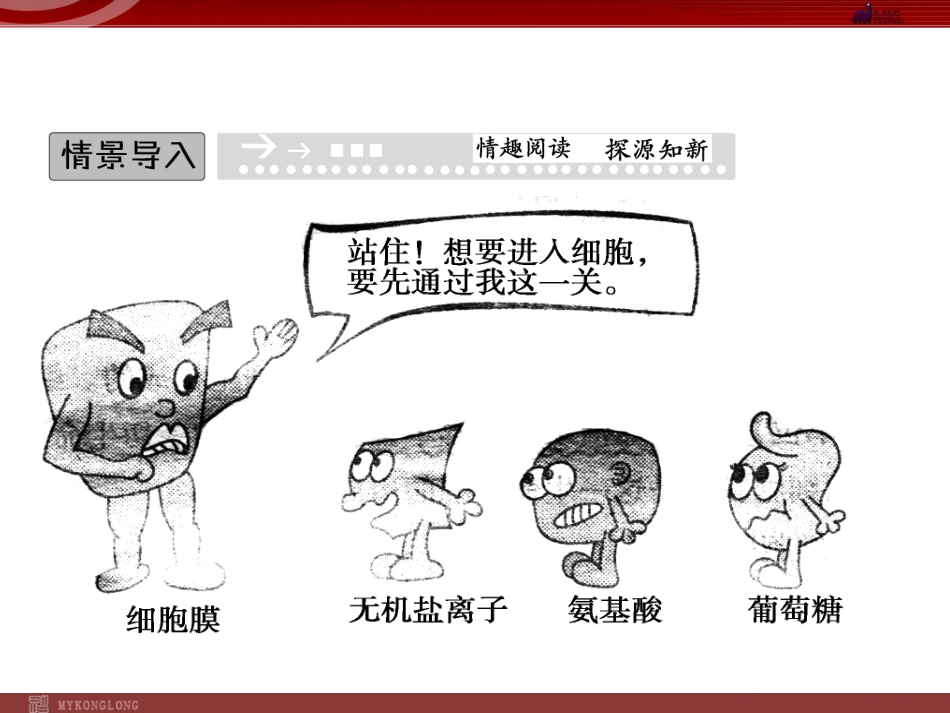 细胞膜和细胞壁_第2页