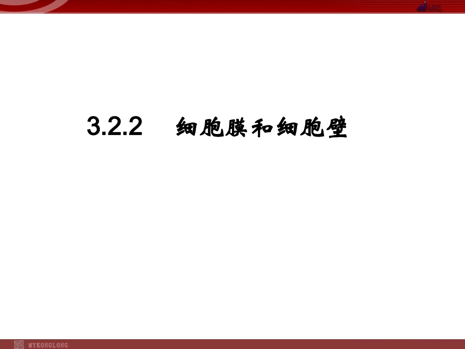 细胞膜和细胞壁_第3页