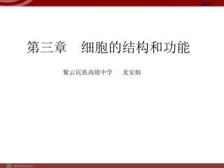 细胞膜和细胞壁