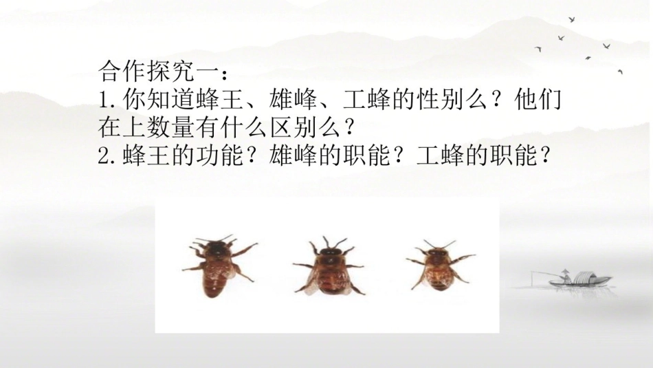 课外阅读蜜蜂家族揭密_第2页