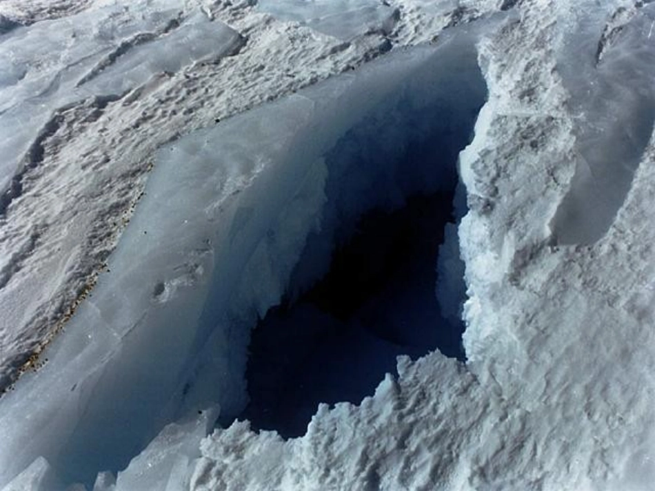 (部编)初中语文人教2011课标版七年级下册《伟大的悲剧》课件-(2)_第1页