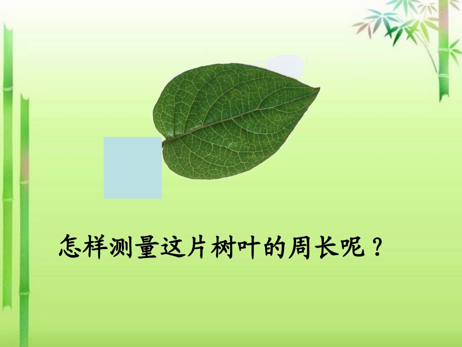 人教2011版小学数学三年级资料叶子(PPT)_第1页