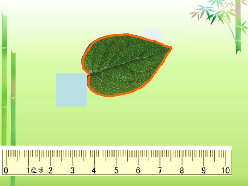 人教2011版小学数学三年级资料叶子(PPT)_第2页