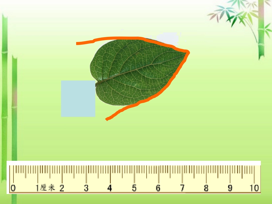 人教2011版小学数学三年级资料叶子(PPT)_第3页