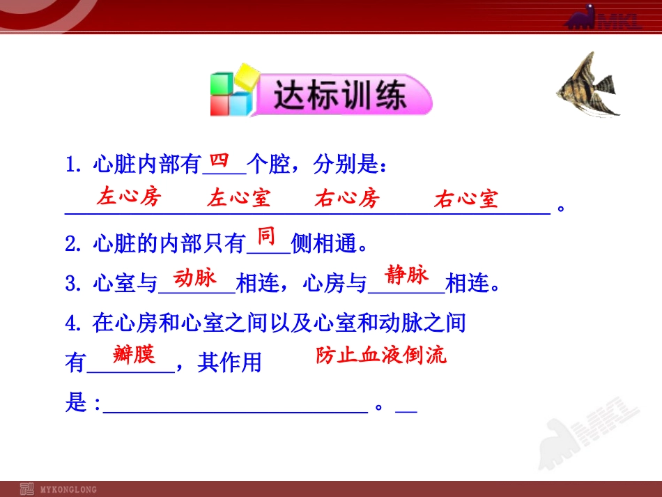 4.心脏的结构_第1页