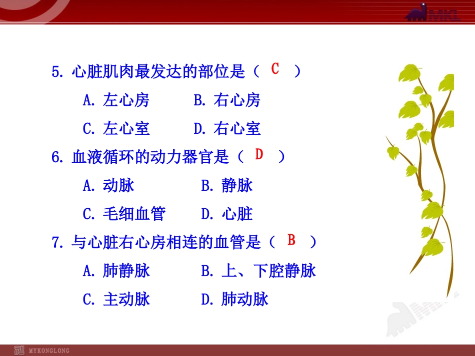 4.心脏的结构_第2页