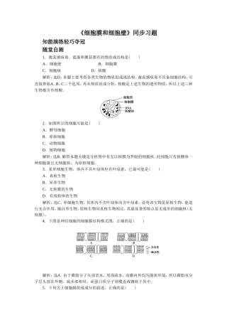 《细胞膜和细胞壁》同步习题3
