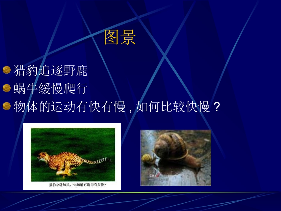 物体运动的快慢_第1页