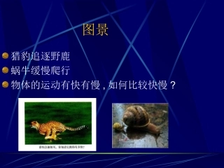 物体运动的快慢