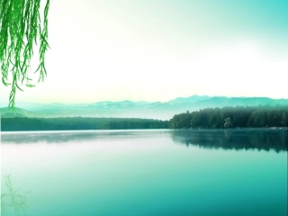 认识分式方程-(5)