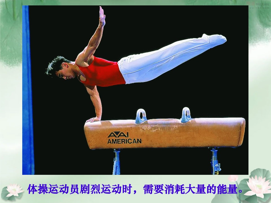 第五节人体能量的供给-(3)_第1页