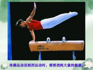 第五节人体能量的供给-(3)